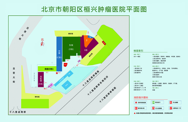 男女啪啪啪爆操艹免费北京市朝阳区桓兴肿瘤医院平面图